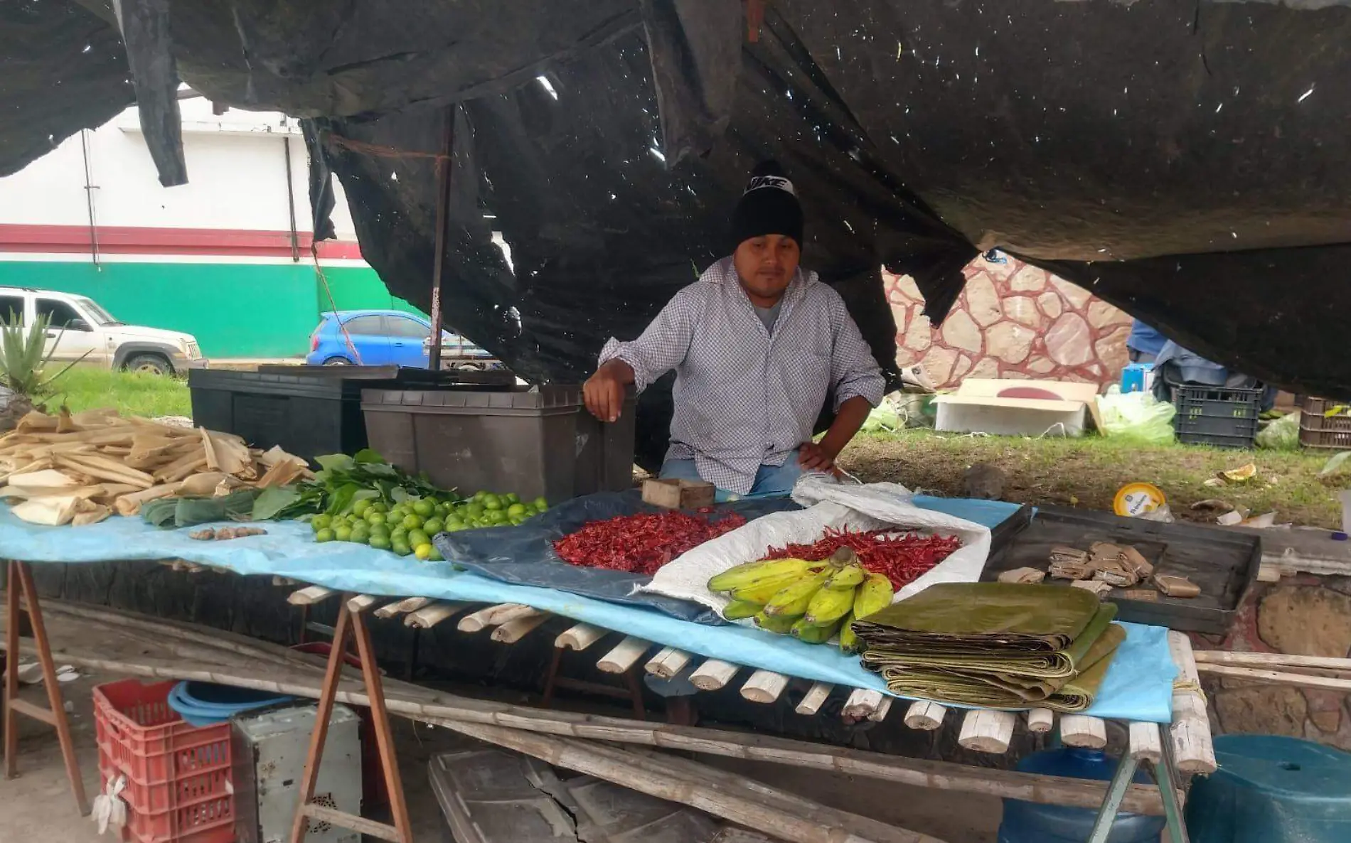 Mercado Garibaldi